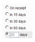 enter_payment_term.jpg