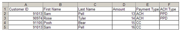 existing_payment_import_file_sample.jpg