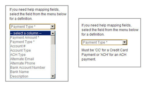 import_payments_field_description00051.jpg