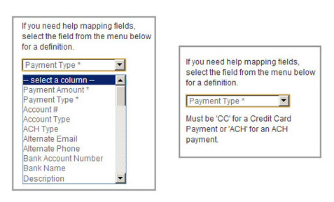 import_payments_field_description00080.jpg