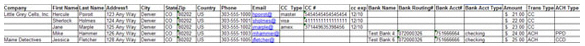 new_payment_import_file_sample.jpg