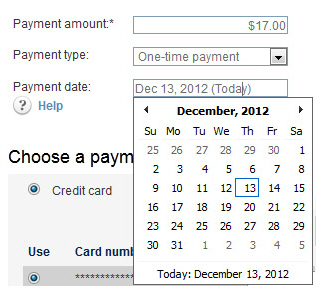 payment_info_onetime_future_date.jpg