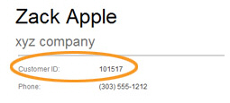 customer_details_customerid.jpg