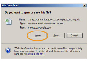 open_standard_report_exce_pdf.jpg