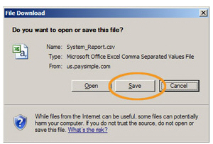 save_button_standard_report_csv_pdf.jpg