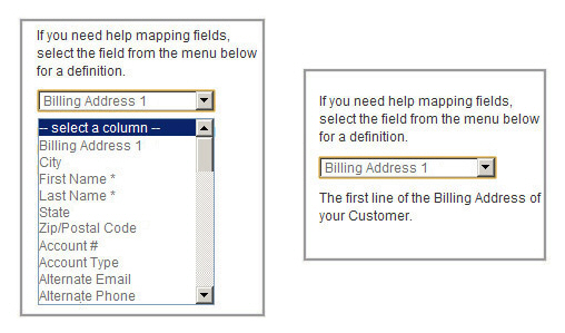 import_customers_field_description.jpg