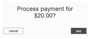 confirm_online_payment_amount_20.jpg