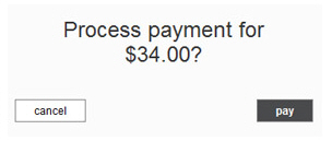 confirm_online_payment_amount_34.jpg