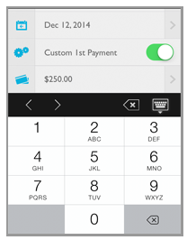enter_custom_first_payment_amount.png