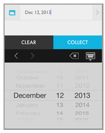 enter_custom_first_payment_date.png