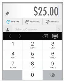enter_payment_amount.png