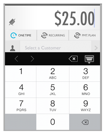 enter_payment_amount00019.png