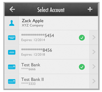 payment_accounts_za00125.png