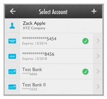 payment_accounts_za00129.png
