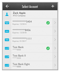 payment_accounts_za_ach1.png
