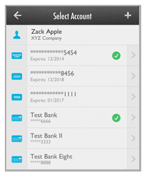 payment_accounts_za_ach100139.png