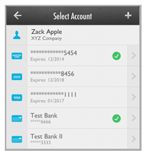 payment_accounts_za_ach2.png