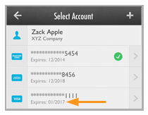 payment_accounts_za_cc2.png